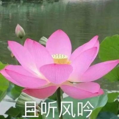 新华时评丨玩火者必自焚——评台湾地区领导人“5·20”讲话